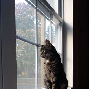 Meet your Posher, Dawn